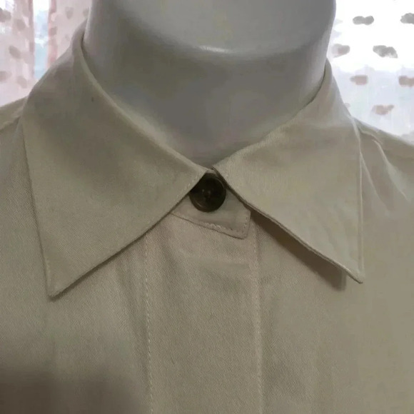 Banana Republic Belted Tencel Shirtdress - Picture 6 of 15